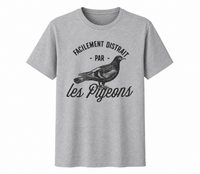 Distrait par les pigeons